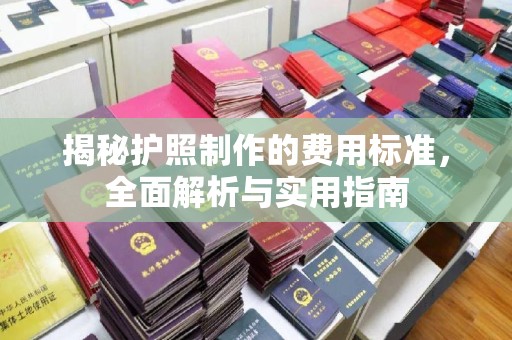 狮潭揭秘护照制作的费用标准，全面解析与实用指南